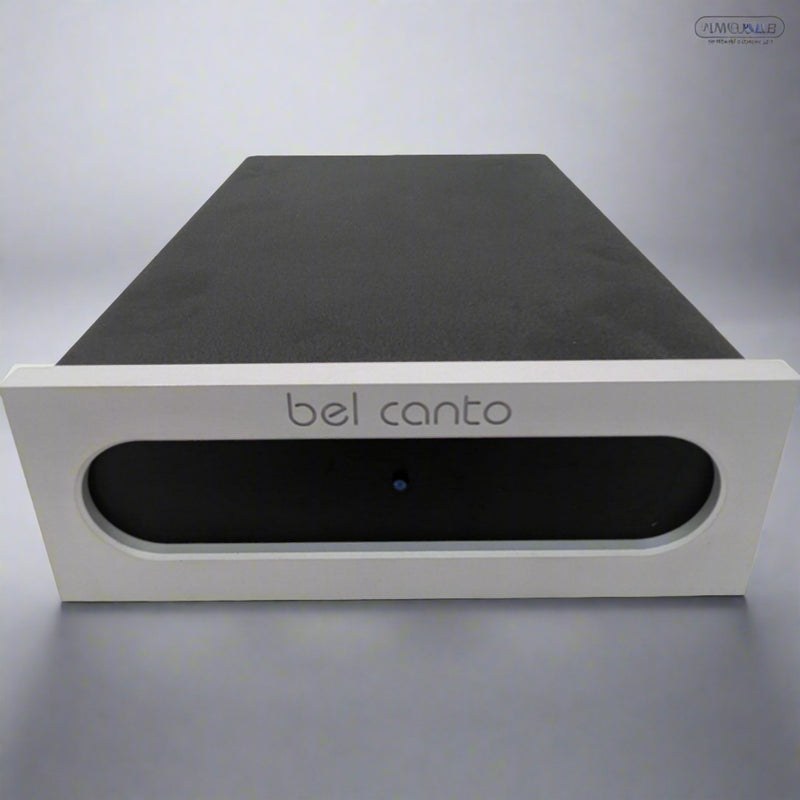 Bel Canto Ref 1000 Mono Block Amplifier